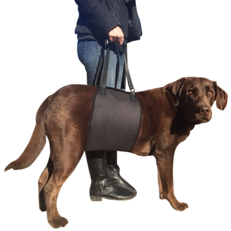 Dog Canine K9 Sling Lift Adjustable Support Harness Pet Sling Lift Veterinarian Approved
