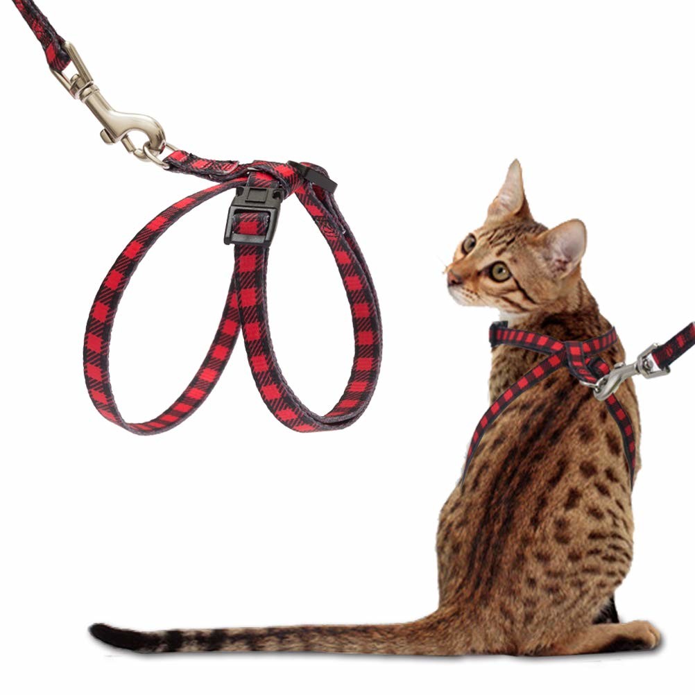 Pet Cat Harness,Adjustable Design Nylon Strap Collar With Leash, Breakaway Cat Safety Harness For Small Cat Dog And Pet Outdoor Walking Black