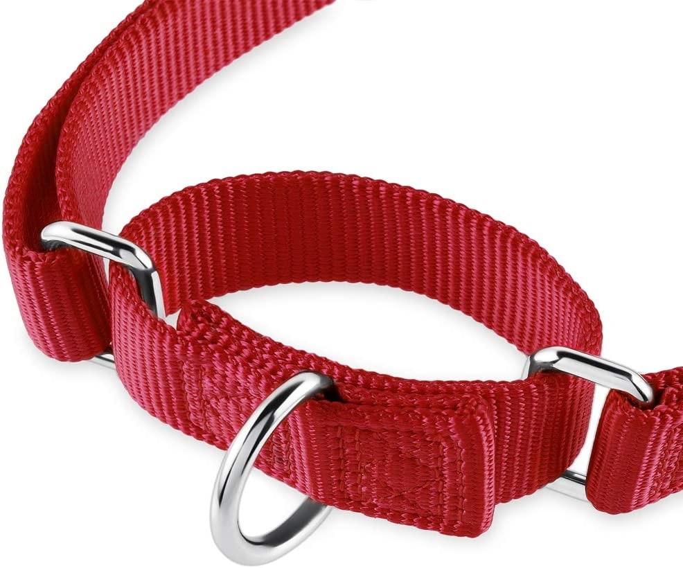 Heavy Duty Nylon AntiEscape Martingale Collar for Boy and Girl Dogs